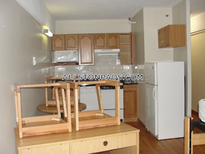 Allston Apartment for rent Studio 1 Bath Boston - $2,100