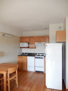 Allston Apartment for rent Studio 1 Bath Boston - $2,150