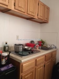 Back Bay Studio 1 Bath Boston - $2,175