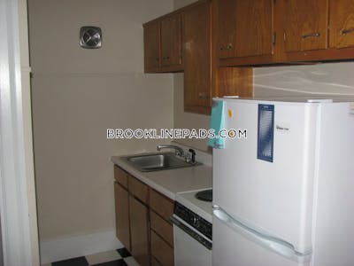 Brookline Apartment for rent 1 Bedroom 1 Bath  Boston University - $2,165