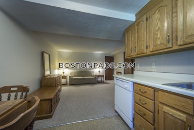 Cambridge Studio 1 Bath  Davis Square - $2,050