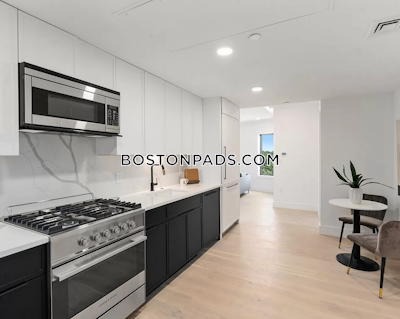 Brighton Studio 1 Bath Boston - $3,350