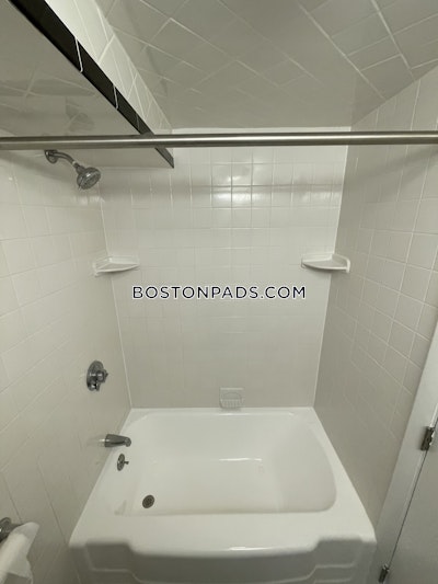 Brighton Studio 1 Bath Boston - $1,775