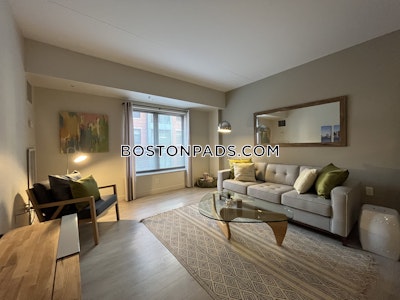 South End Luxury 1 Bed 1 Bath on Harrison Ave. in South End  Boston - $3,115