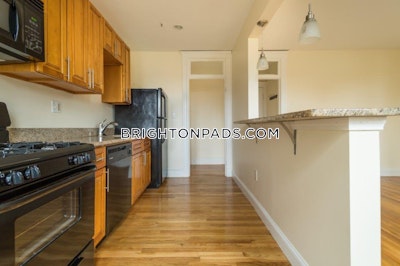 Brighton Apartment for rent Studio 1 Bath Boston - $2,350