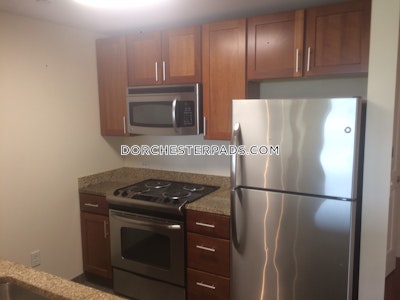 Dorchester Apartment for rent 1 Bedroom 1 Bath Boston - $4,229 No Fee