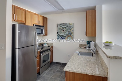 Dorchester Apartment for rent Studio 1 Bath Boston - $3,989 No Fee