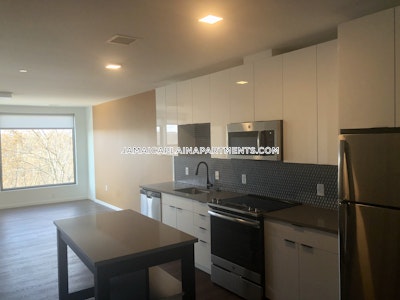 Jamaica Plain Apartment for rent 2 Bedrooms 2 Baths Boston - $4,375 No Fee