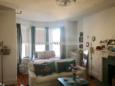 Brookline Studio 1 Bath  Boston University - $2,195