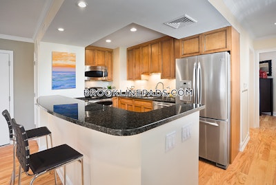 Brookline Modern 1 bed 1 bath available 5/1 on Chapel St in Brookline!   Longwood Area - $3,995 No Fee