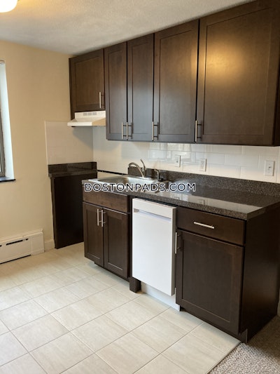 Cambridge Apartment for rent Studio 1 Bath  Davis Square - $2,250 No Fee