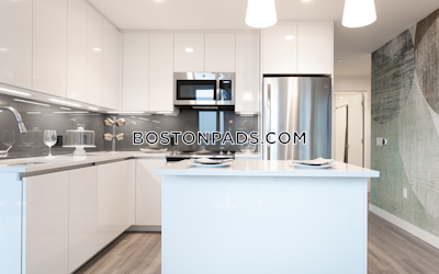 West End Apartment for rent 2 Bedrooms 2 Baths Boston - $11,072