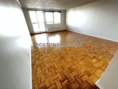 West End Apartment for rent 1 Bedroom 1 Bath Boston - $3,565