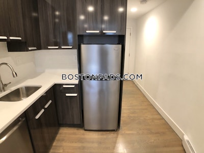 West End Apartment for rent 2 Bedrooms 1 Bath Boston - $4,050