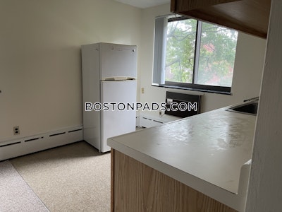 Cambridge Apartment for rent Studio 1 Bath  Davis Square - $2,450 No Fee