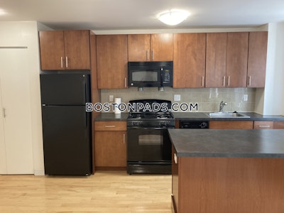 Brighton Apartment for rent 1 Bedroom 1 Bath Boston - $3,001