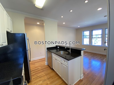 Cambridge Apartment for rent 2 Bedrooms 1 Bath  Harvard Square - $3,495 No Fee