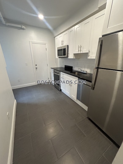 Brighton Apartment for rent 2 Bedrooms 1 Bath Boston - $2,995 No Fee