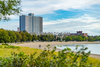 South Boston Apartment for rent 3 Bedrooms 1.5 Baths Boston - $4,200