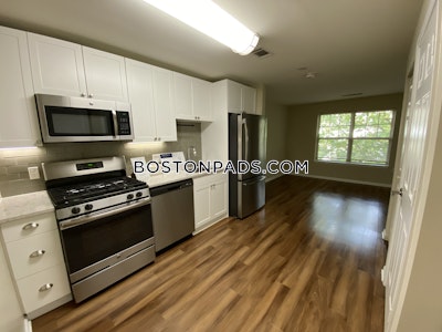 Newton Apartment for rent Studio 1 Bath  Chestnut Hill - $2,694