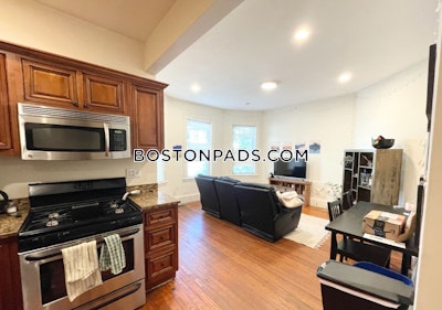 Mission Hill Apartment for rent 4 Bedrooms 1 Bath Boston - $6,800