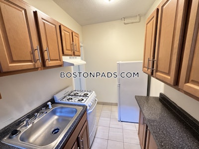 Allston Apartment for rent 1 Bedroom 1 Bath Boston - $2,200