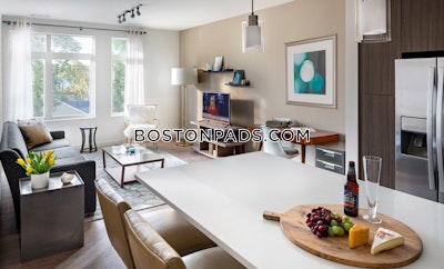 Waltham 2 bedroom 2 baths Luxury in WALTHAM - $3,542